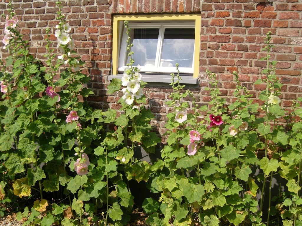 Bed & Breakfast Appeltern Exterior foto
